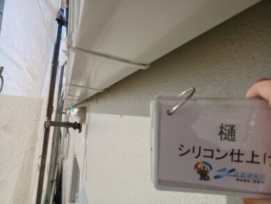 奈良県橿原市A株式会社様（オフィスビル）　外壁塗装工事 樋シリコン仕上げ